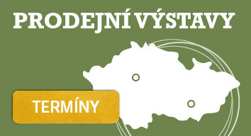 Prodejn vstavy