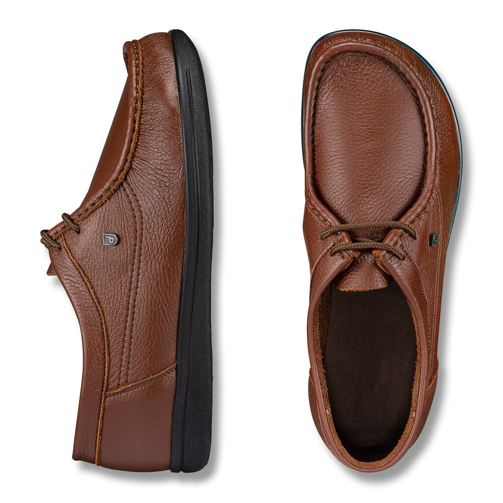 Latino Elk obr�zek 2