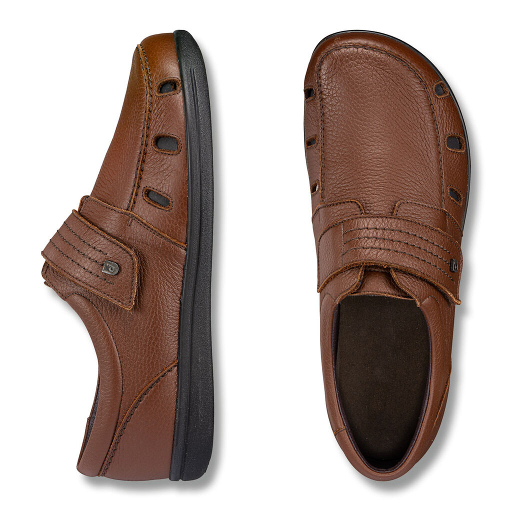 Bruno Elk obr�zek 2