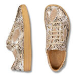 Atlantic obr�zek 2